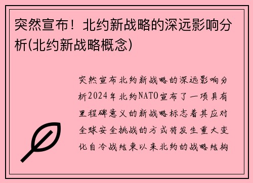 突然宣布！北约新战略的深远影响分析(北约新战略概念)