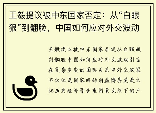 王毅提议被中东国家否定：从“白眼狼”到翻脸，中国如何应对外交波动