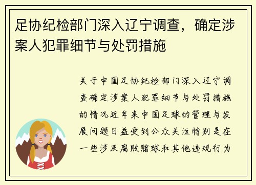 足协纪检部门深入辽宁调查，确定涉案人犯罪细节与处罚措施